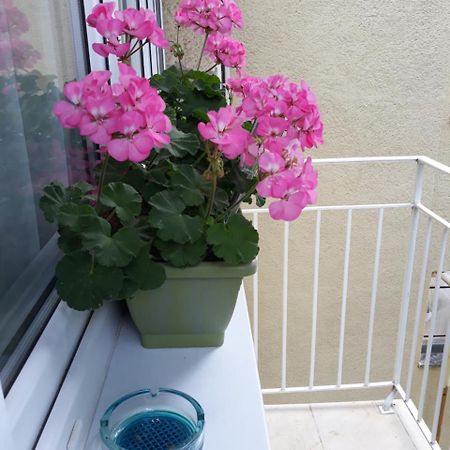 Zenit Apartman Mako Bagian luar foto