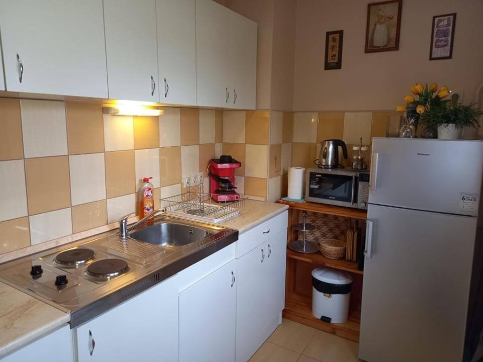 Zenit Apartman Mako Bagian luar foto